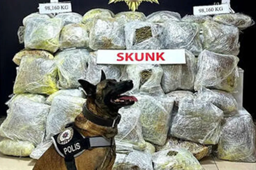 Ev eşyası taşıyan kamyonda 98 kilogram skunk ele geçirildi