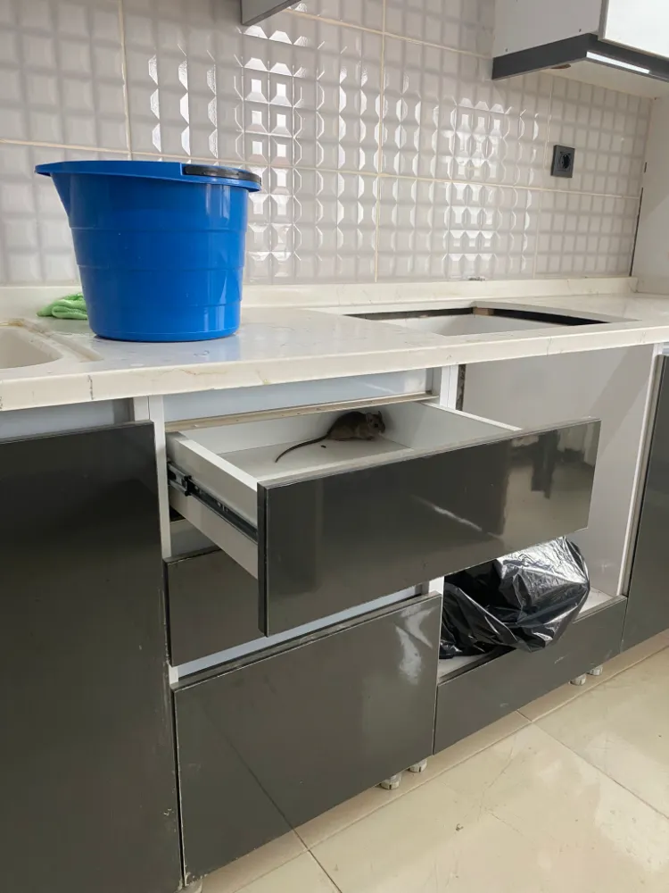 KYK YURTLARINDA ÖĞRENCİLER SAĞLIKLI BARINMA HAKLARI İÇİN AYAKLANIYOR...