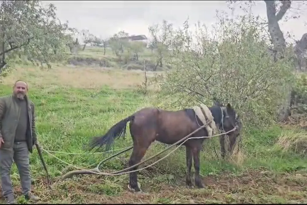 Herkes Mersine Biz Tersine 