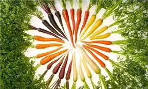 Sağlığınız için havuç tüketin