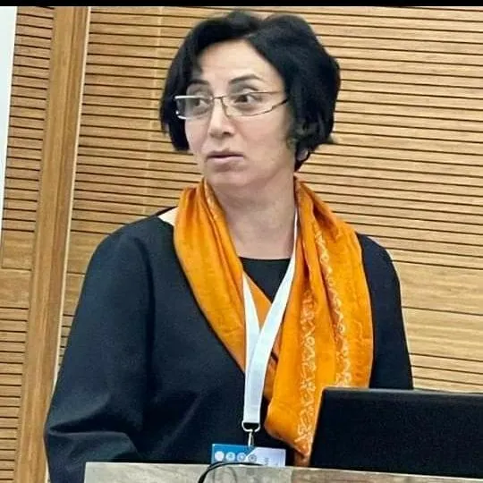 Qərbi Azərbaycana qayıtmaq üçün  Nə etməli?