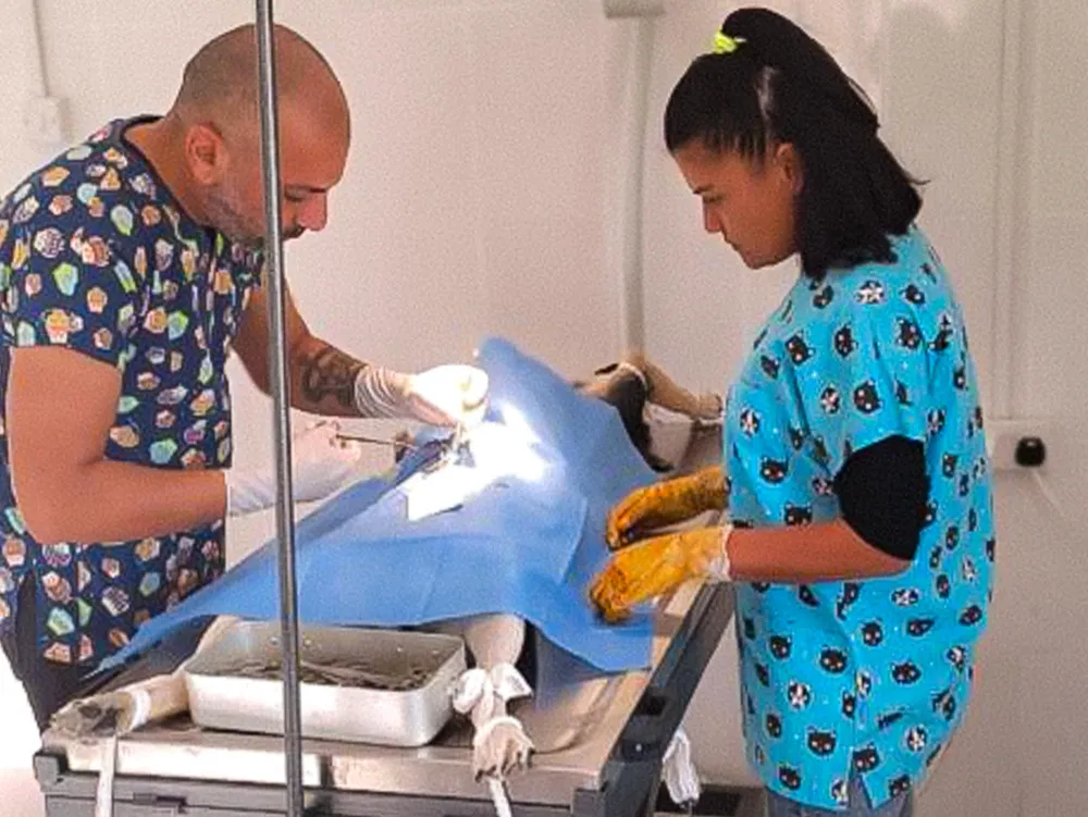 GAZİMAĞUSA BELEDİYESİ HAYVAN BARINAĞI VE REHABİLİTASYON MERKEZİ’NDE 6 AYDA 314 KÖPEK KISIRLAŞTIRILDI