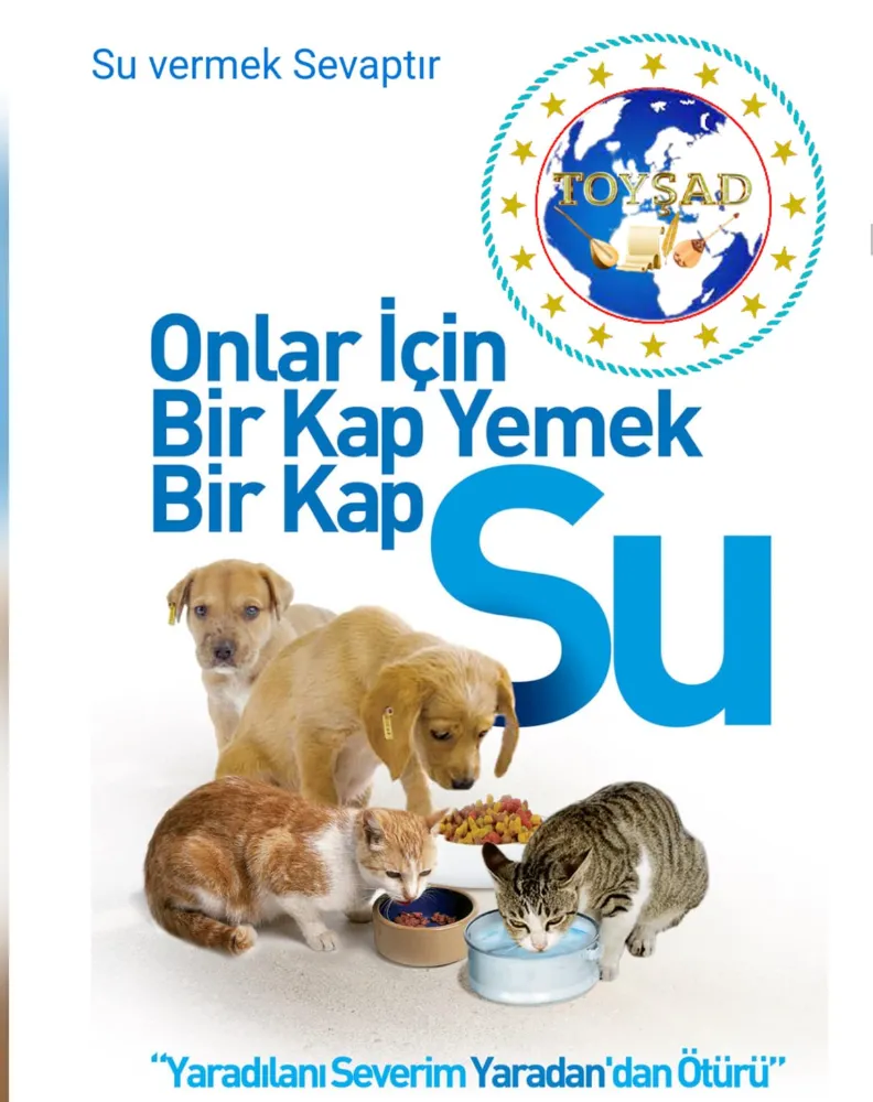 Onlar için en zor zaman… Sokak hayvanlarını unutmayın.