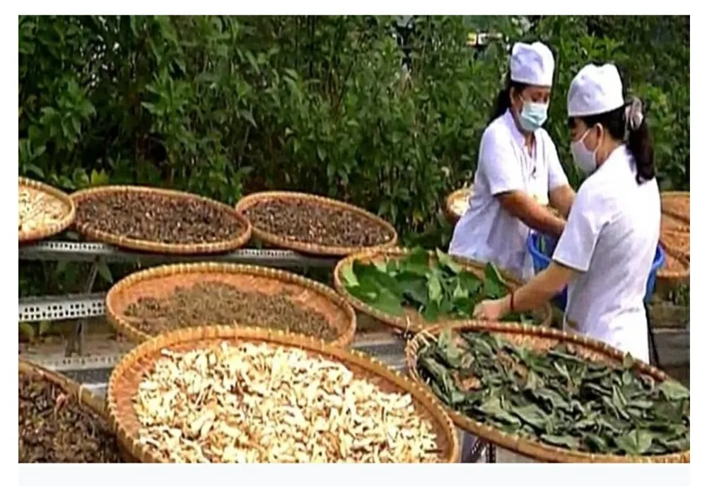 Dünyada geleneksel tıbbın tarihi