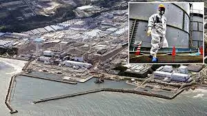 Japonya depremi nükleer santralin tasarım sınırlarını aştığını vurguladı