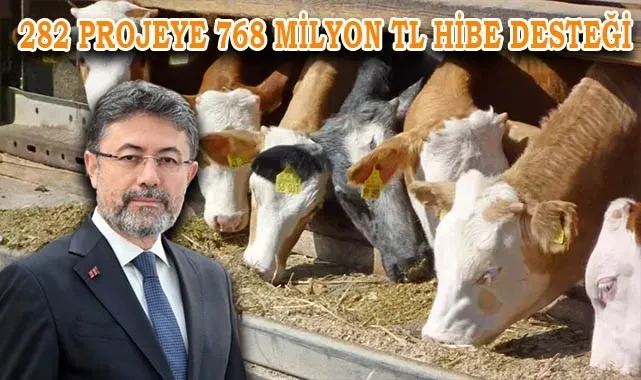 Hayvancılık ve gıda işleme sektörlerine 768 milyon TL hibe desteği