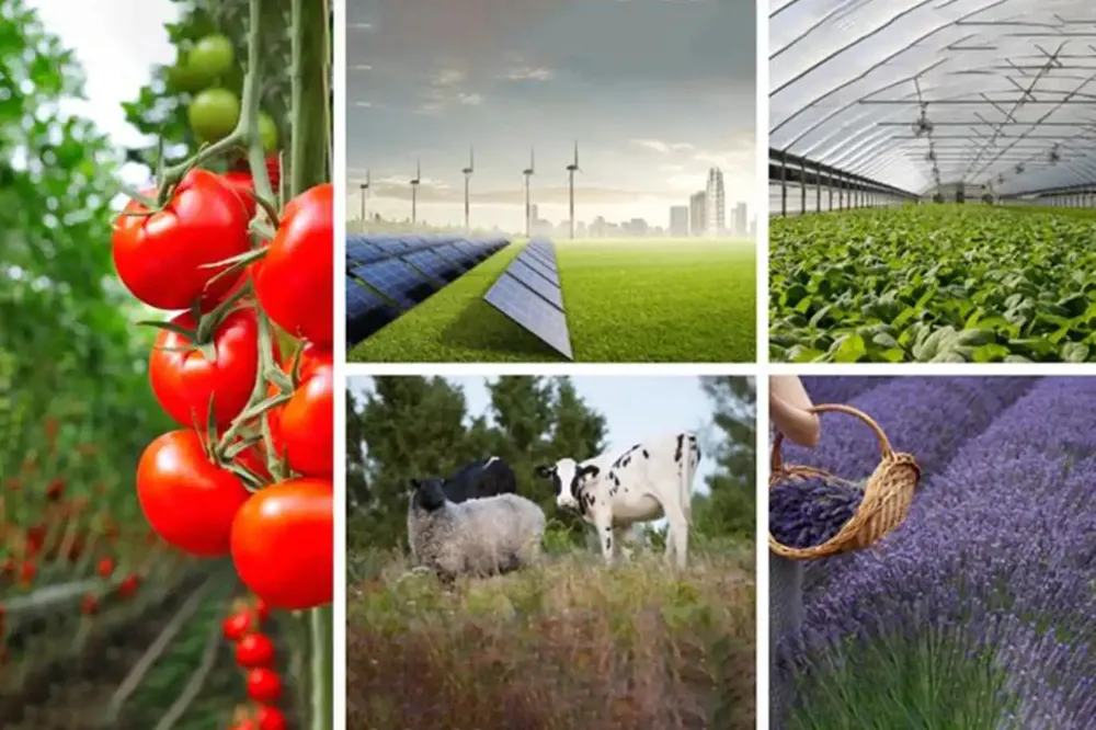 Kırsal kalkınma yatırımlarına 4 milyar 708 milyon TL hibe desteği sağlandı