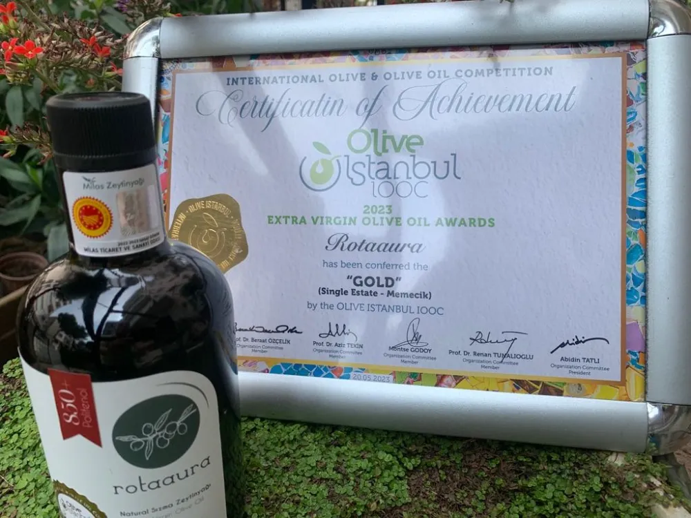 Zeytin; bereketin diğer adı…