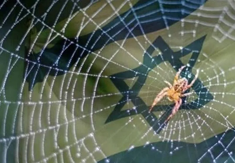 Aksa Tufanı ve ‘İsrail Örümcek Ağından Bile Daha Zayıftır’ Kuramı
