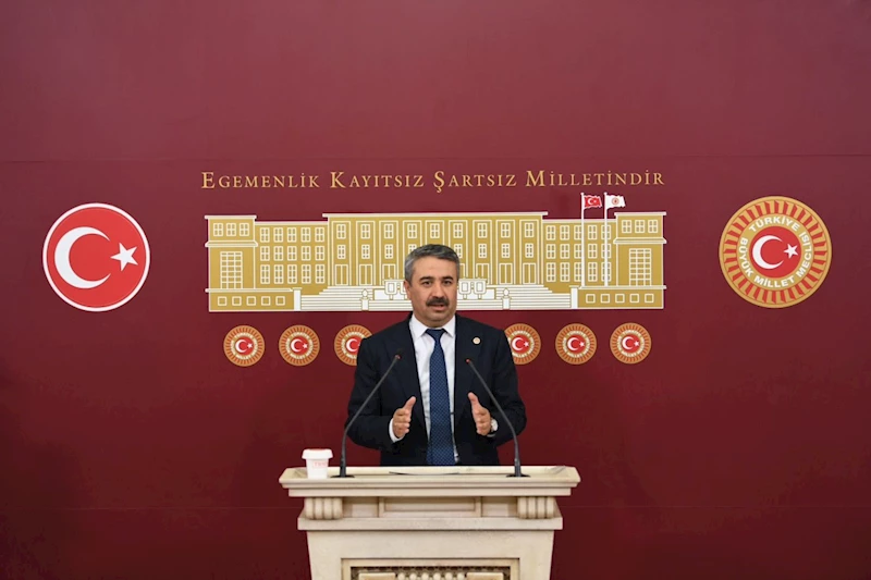 Milletvekili Alkayış