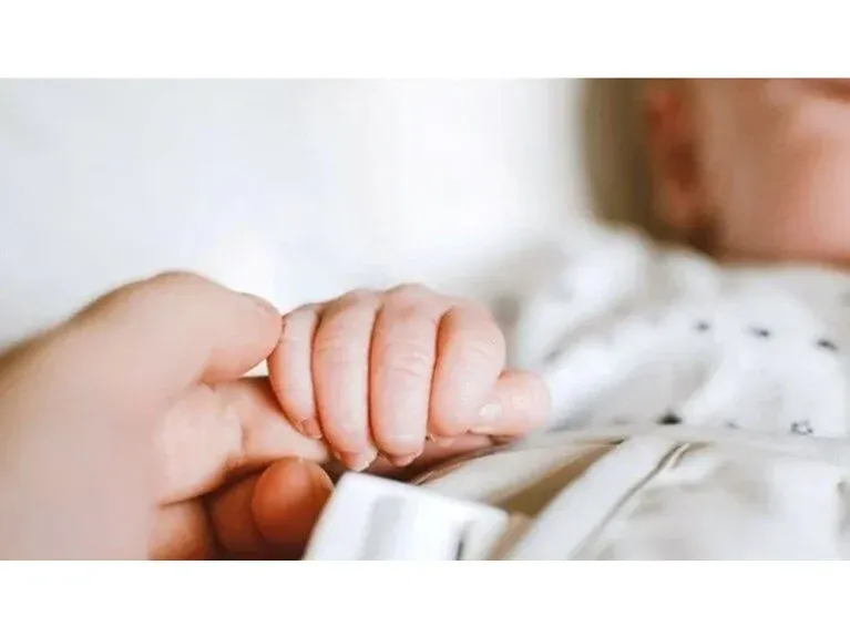 Bir tane yiğit savcı, koca şebekeyi çökertmeye yetti. 