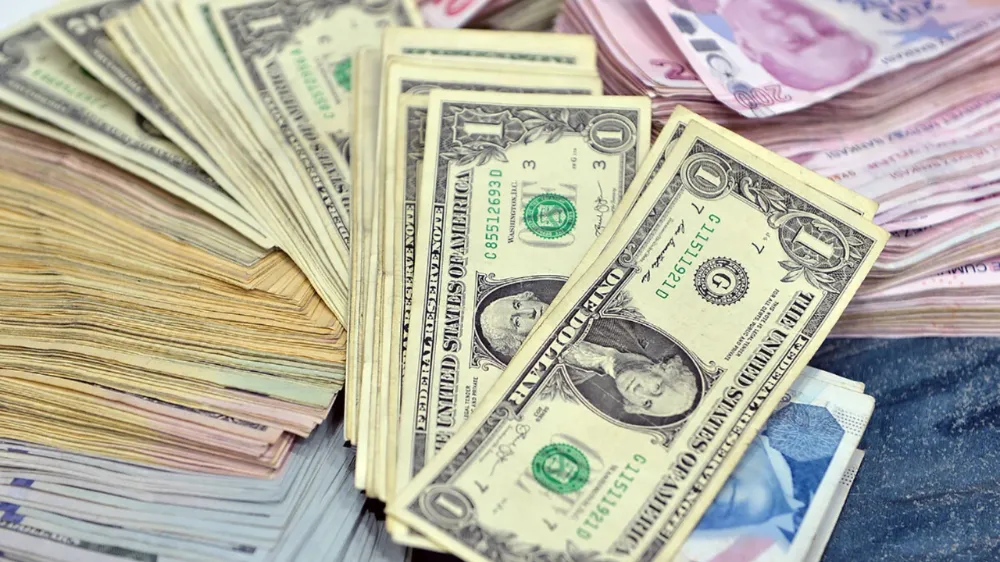 13 Aralık 2024 Dolar ve Euro kaç lira?