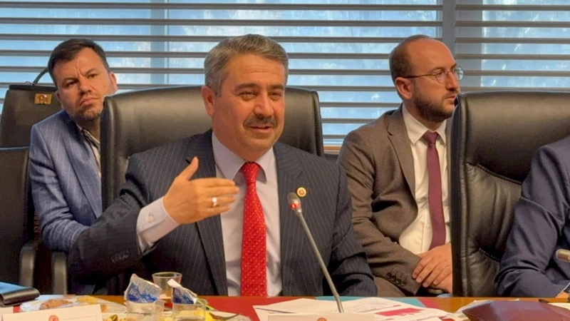 Milletvekili Alkayış: 