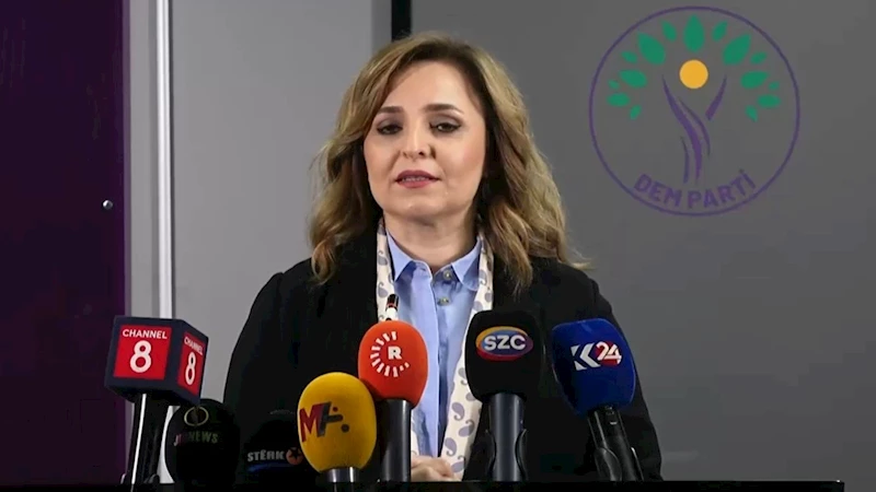 DEM Parti Sözcüsü Ayşegül Doğan: 