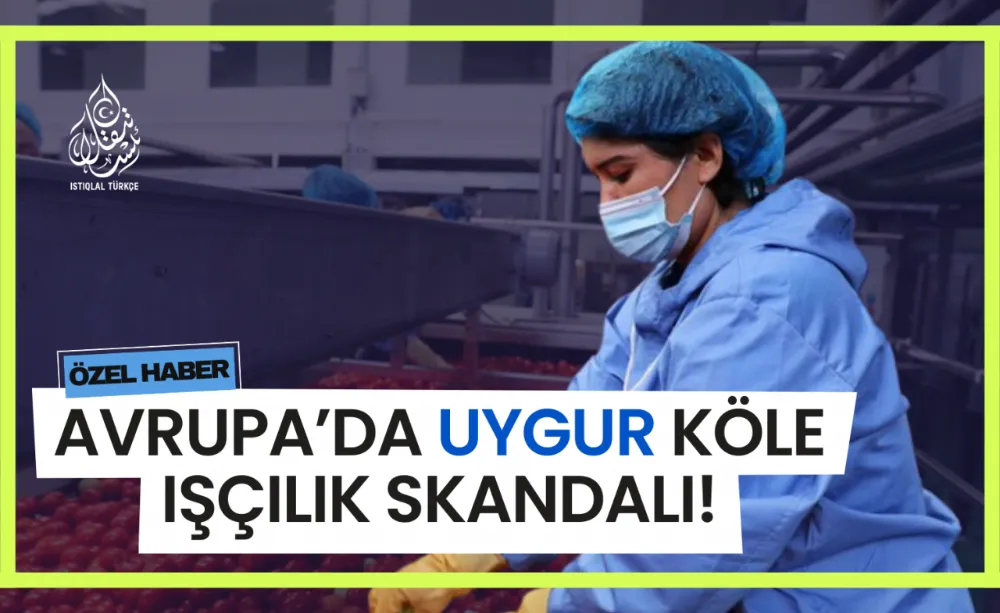 Avrupa’da Uygur köle işçilik skandalı!