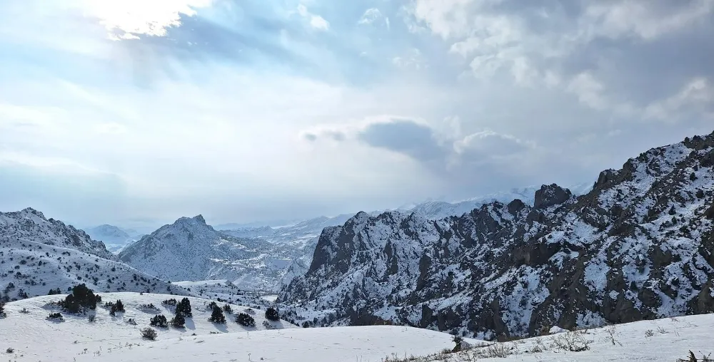 Oltu’da Doğa Yürüyüşü ve Yaban Hayatı Gözlemi Etkinliği Gerçekleştirildi