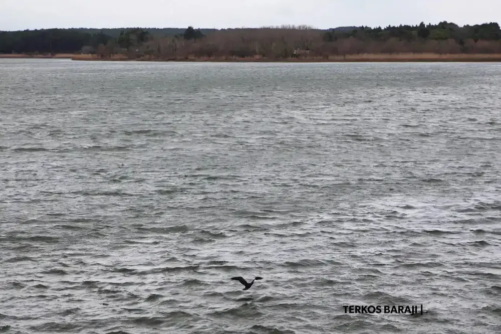 İstanbul barajlarındaki doluluk oranı 81,29 oldu