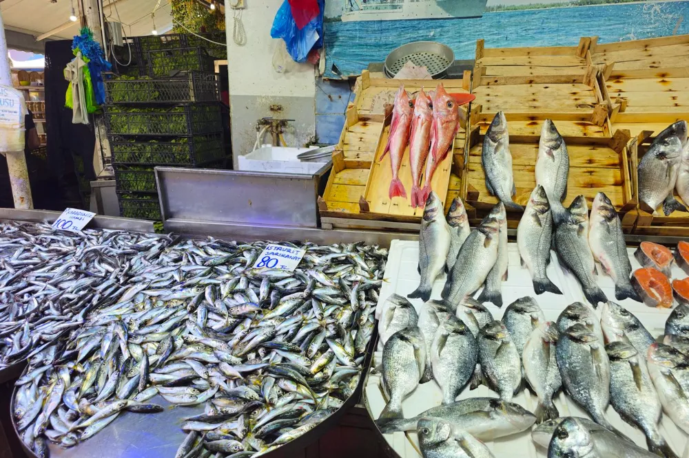 Balıksız geçen bir sezonun ardından denizlerde av yasağı başladı