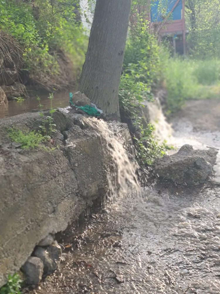 Bahaneye çok erken başlamadınız mı?