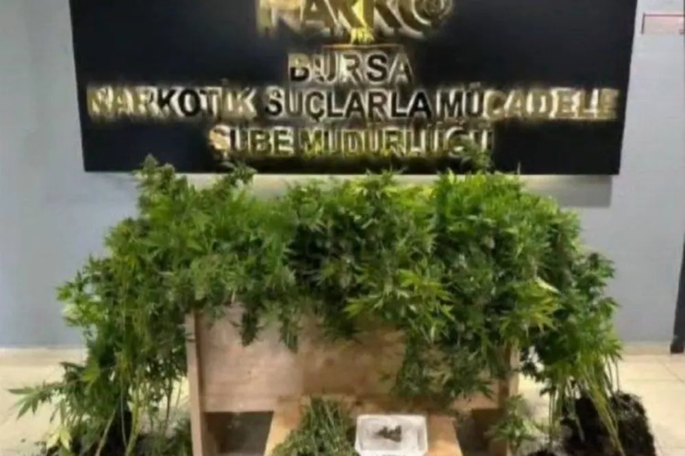 Bursa’da uyuşturucu imalathanesine baskın: 1 gözaltı