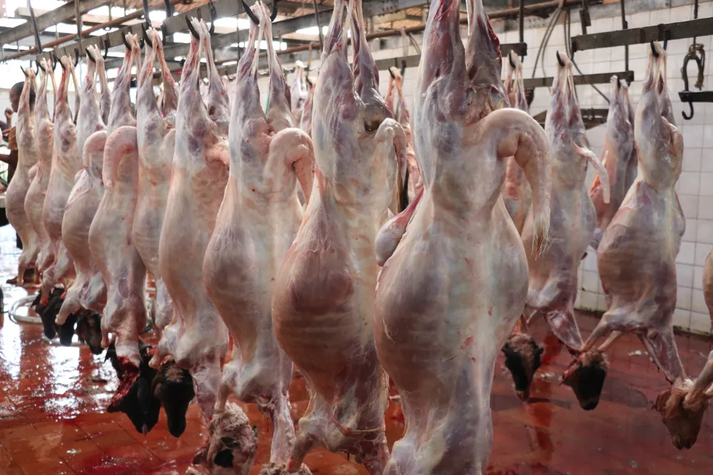 Fransa Yetim Eli, Burundi