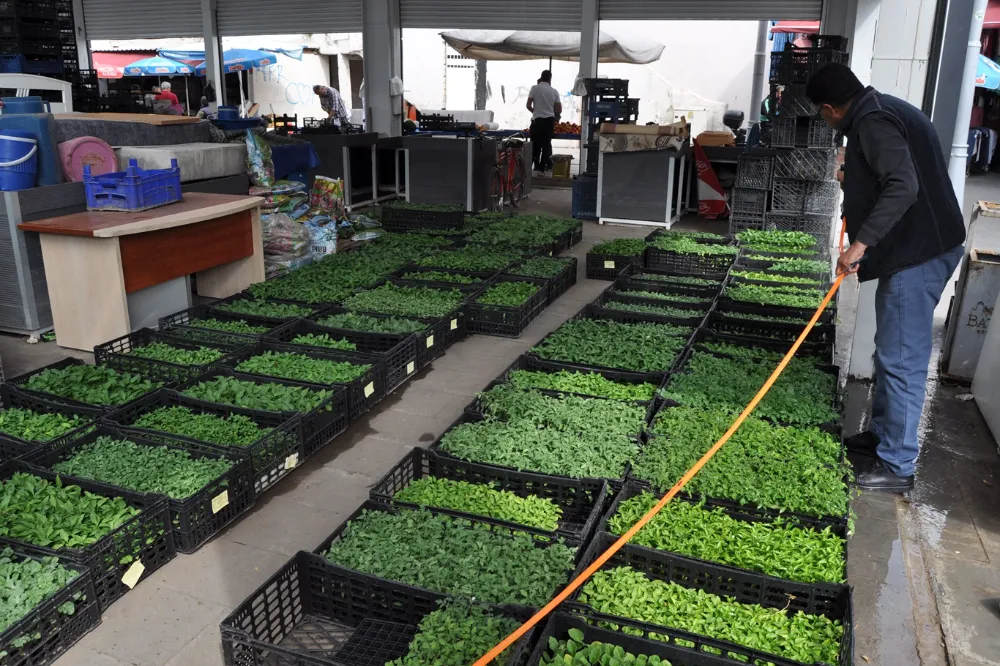 Fide satışlarına yoğun ilgi