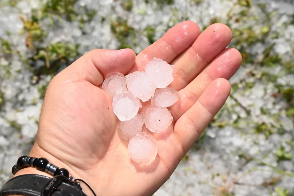 MANAVGAT’TA TARIM ÜRÜNLERİ DOLUDAN ZARAR GÖRDÜ