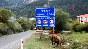 Posof