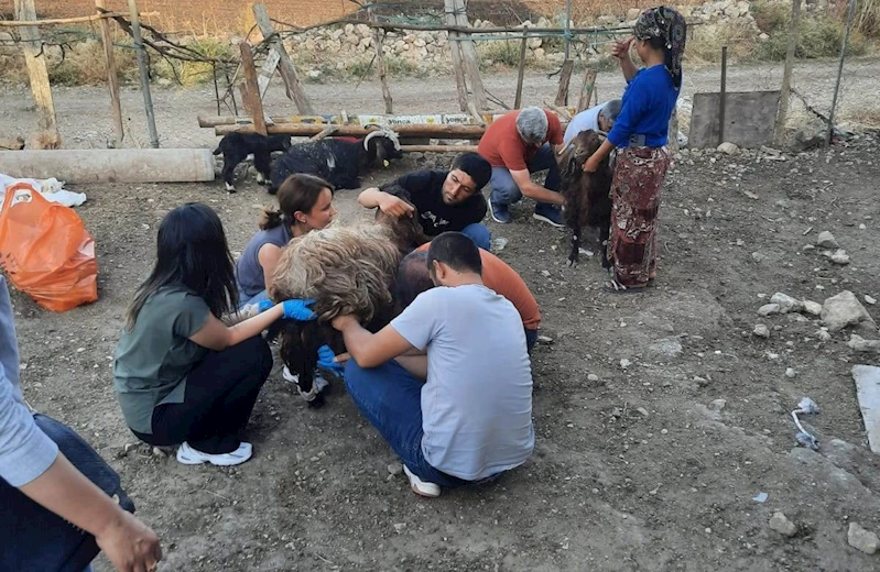 Başkan Tutdere: Sessiz dostlarımız için Diyarbakır ve Mardin’deyiz 