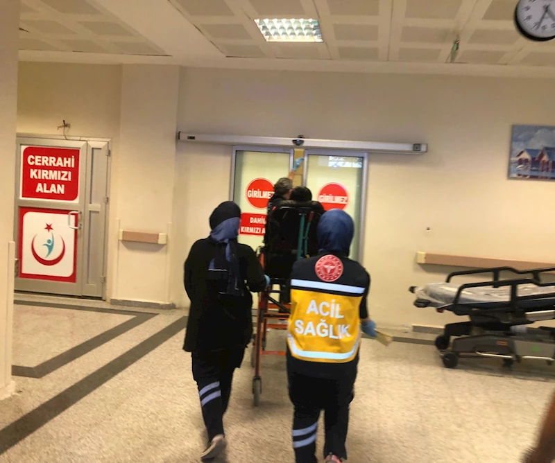 Ağacı budarken tahrayla ile elini yaraladı 