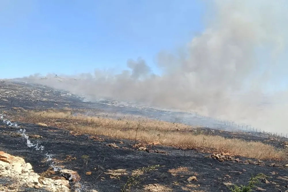 Biçerdöverde çıkan yangın bin dönüm ekili alanı küle çevirdi