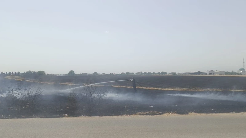 Vartana yakınlarında çıkan anız yangını paniğe neden oldu   - Videolu Haber