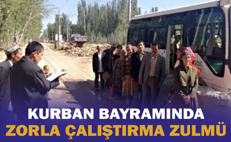 Kurban Bayramında zorla çalıştırma zulmü