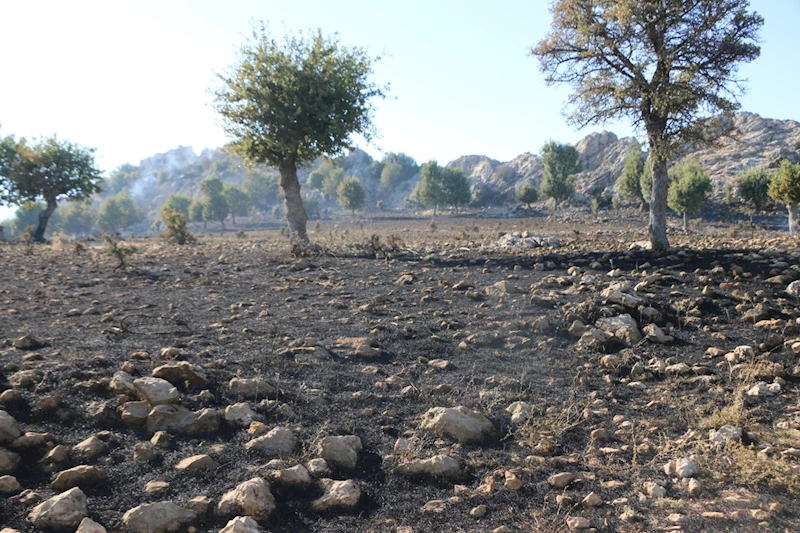 Adıyaman’da korkutan yangın: 35 hektarlık alan etkilendi  - Videolu Haber