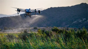 İzmir’de sivrisinekle havadan ve karadan mücadele sürüyor  