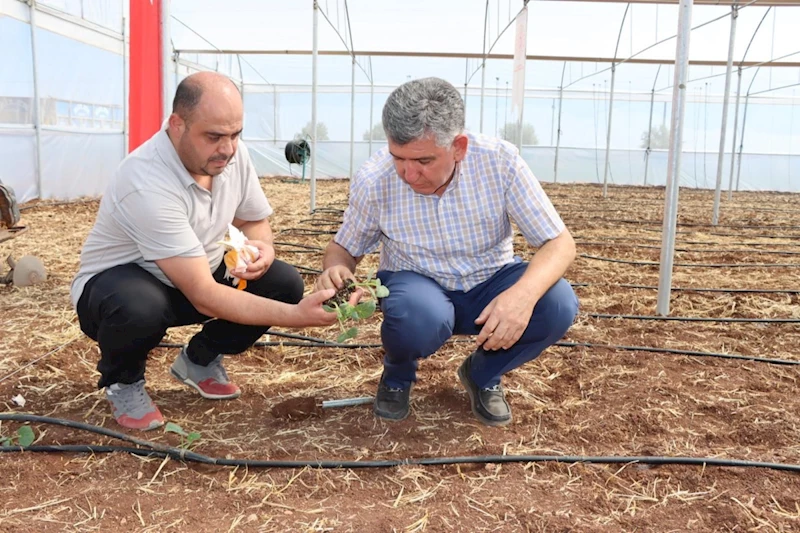 Tarımda yeni dönem başlıyor  - Videolu Haber