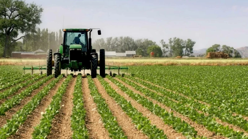 Tarım ürünleri fiyatları yıllık %41,07 artış gösterdi: sebze fiyatlarında düşüş yaşandı 