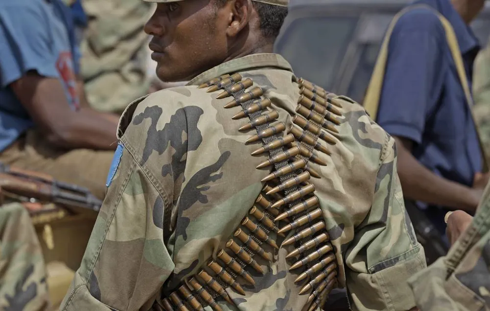 Burkina Faso, Mali ve Nijer, Ukrayna