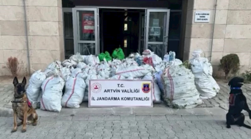 NARKOÇELİK-36 operasyonu: 502 kilogram esrar ele geçirildi  - Videolu Haber