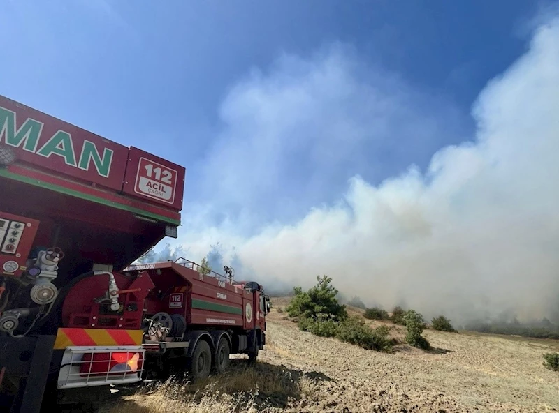 Kahramanmaraş Onikişubat’ta orman yanıyor  
