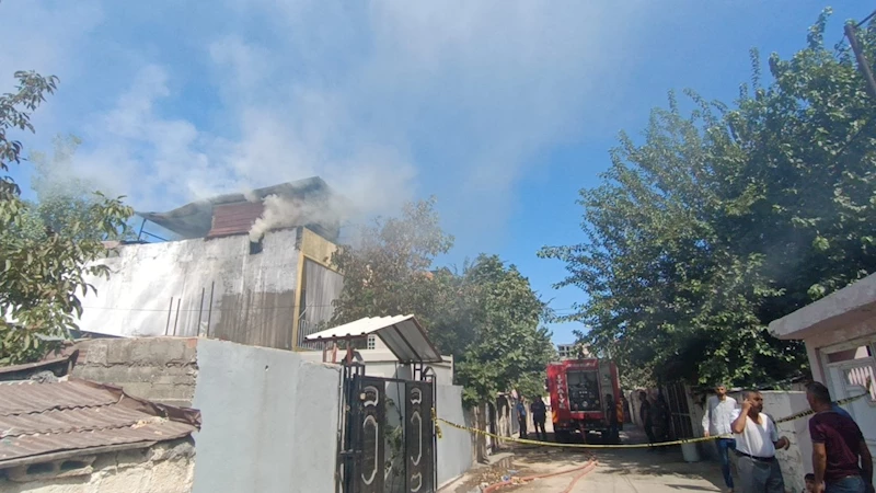 Odunluk yangını paniğe sebep oldu  - Videolu Haber