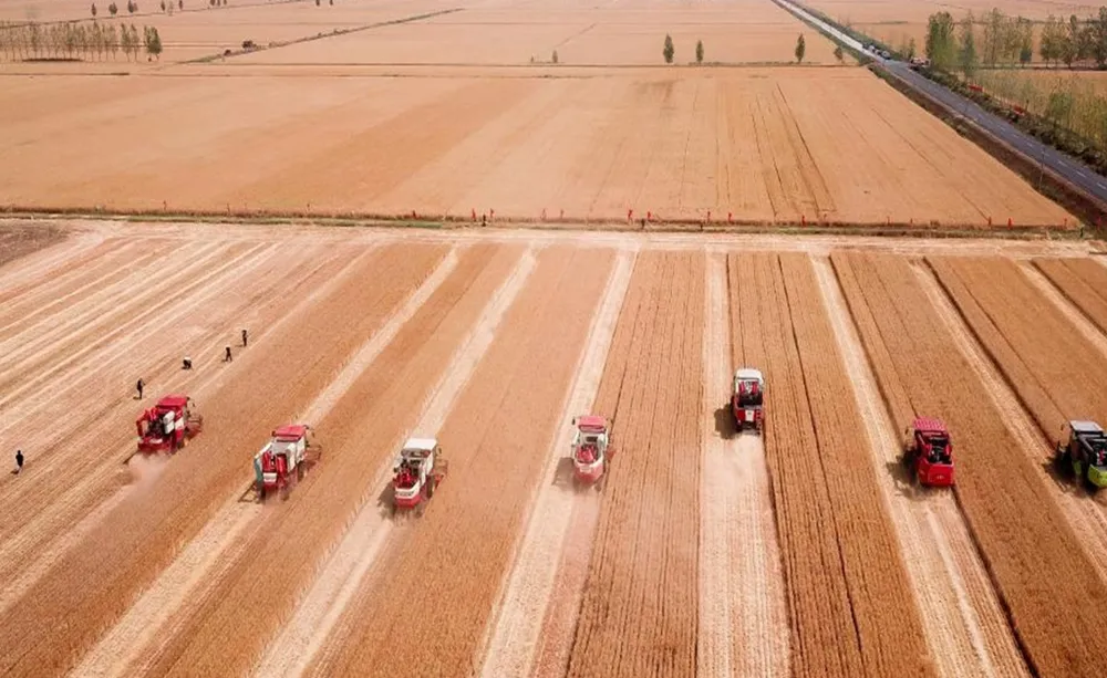 Çin 3. Dünya Savaşı