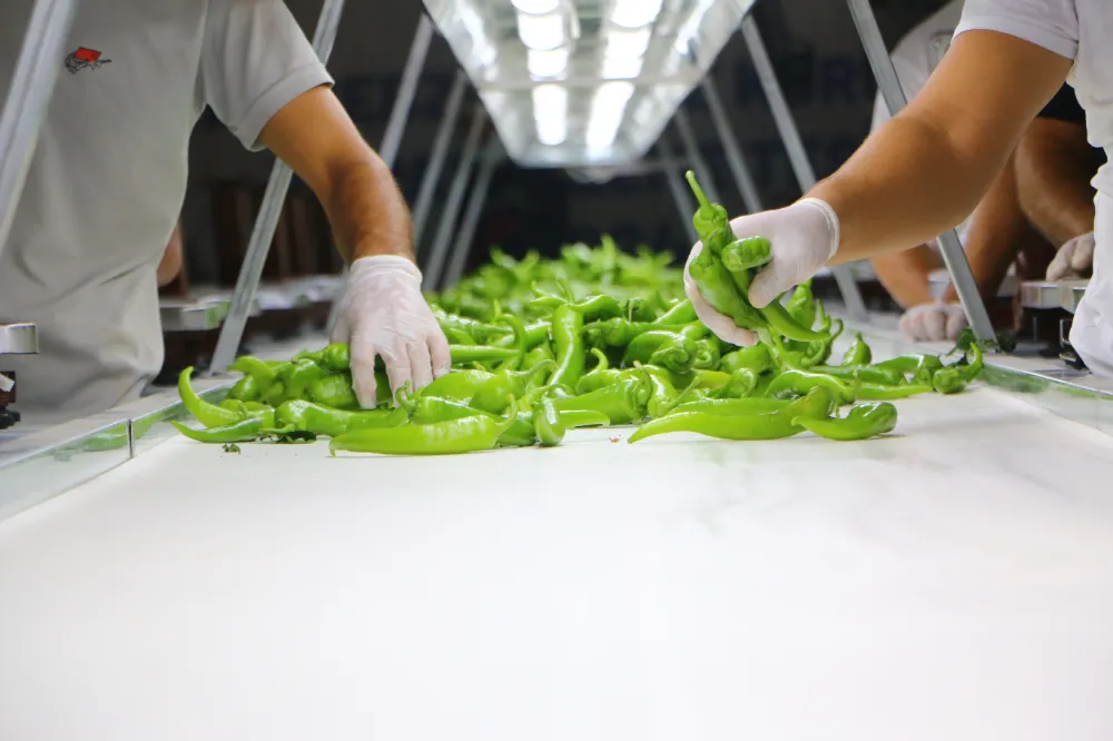 Büyükşehir İsrafı Önlüyor