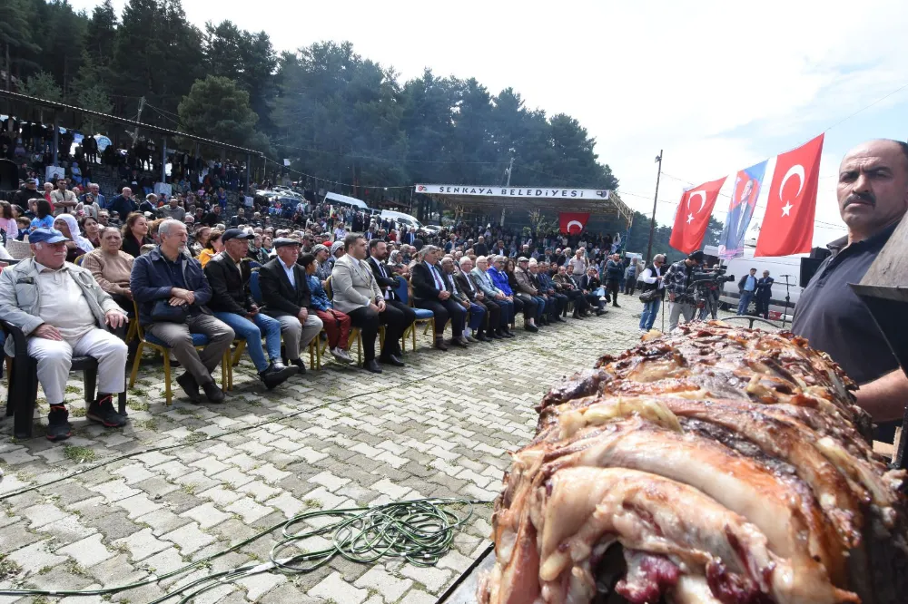 Şenkaya Bal Festivali