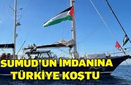 : Türkiye adına gemi yolcuları tahliye edildi