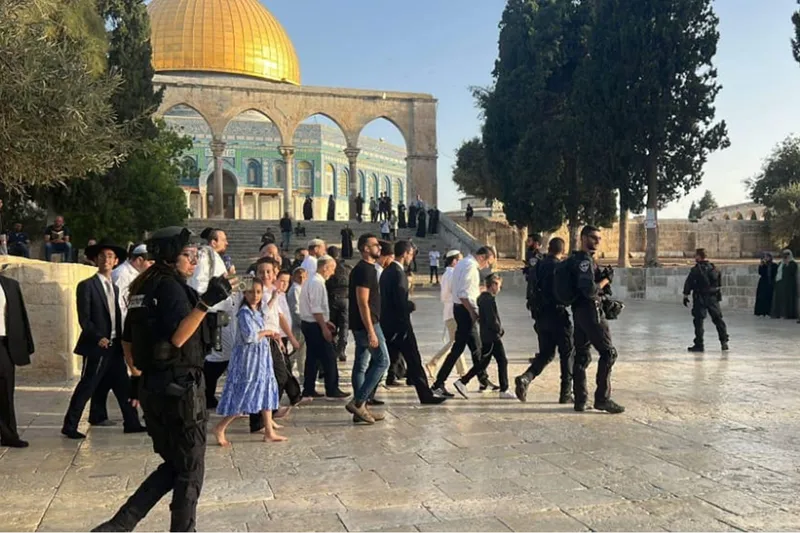 İşgalci yerleşimciler Sukkot