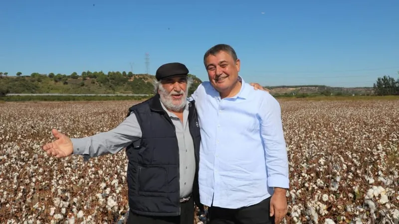 Antalya Aksu’da pamuk hasadı başladı
