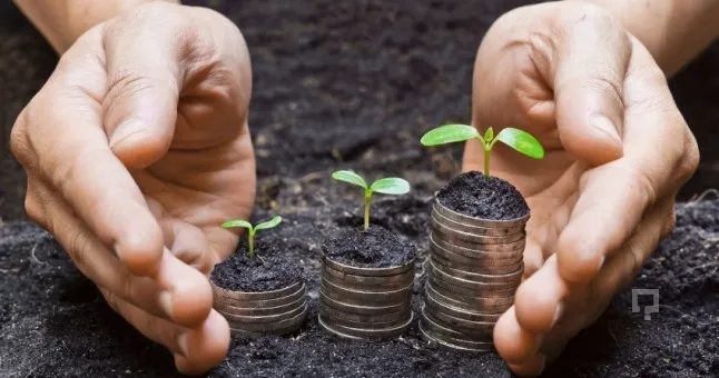 Tarımda Alarm Zilleri: Üretici Fiyatları Eylülde Rekor Kırdı