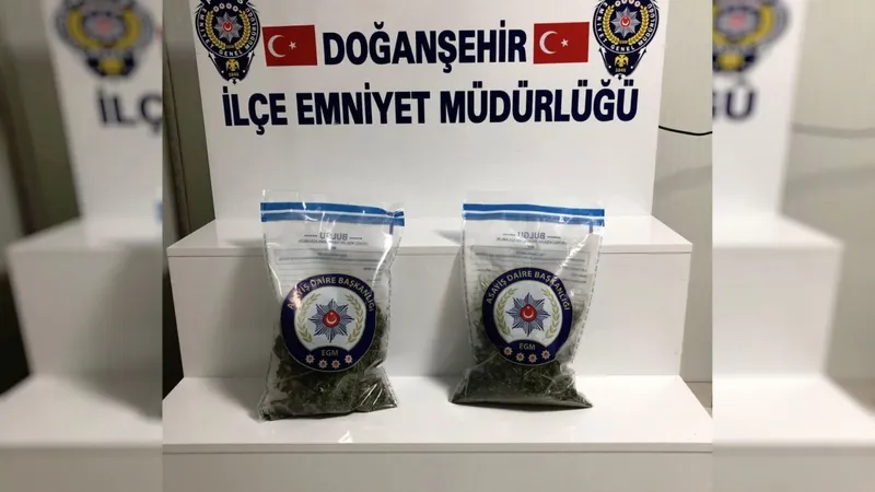 Doğanşehir’de uyuşturucu operasyonu: 1 kişi tutuklandı 