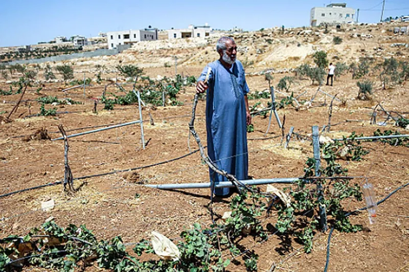 İşgalciler 400 dönümlük Filistin arazisine el koydu